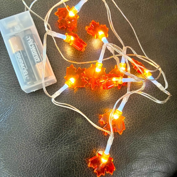 Fall Decor - Picture 7 of 8